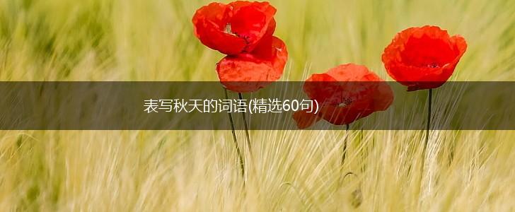 表写秋天的词语(精选60句),第1张