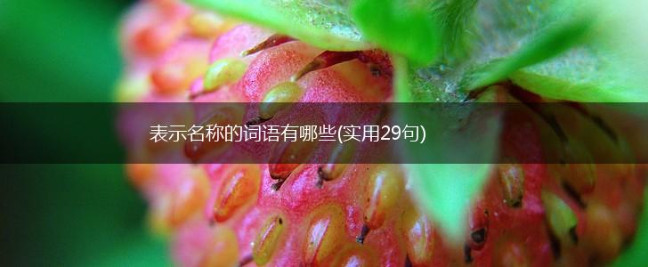 表示名称的词语有哪些(实用29句),第1张 表示名称的词语有哪些(实用29句),第1张