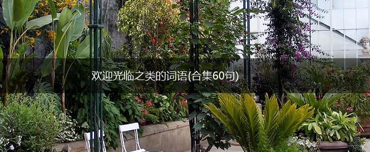 欢迎光临之类的词语(合集60句),第1张