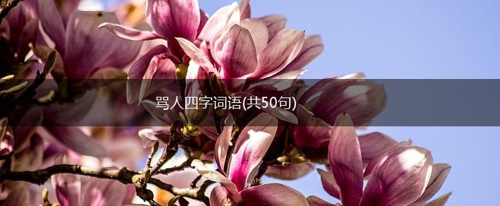 骂人四字词语(共50句),第1张