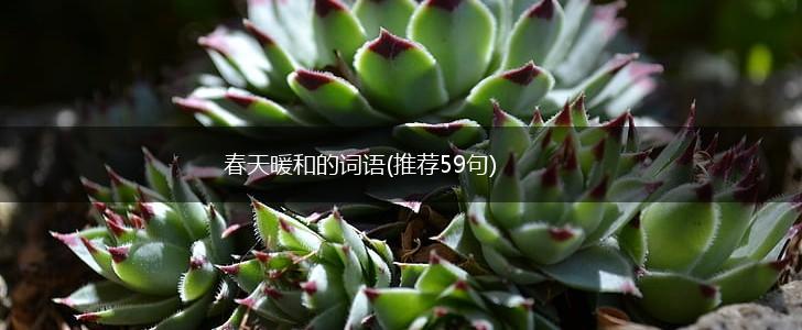 春天暖和的词语(推荐59句),第1张