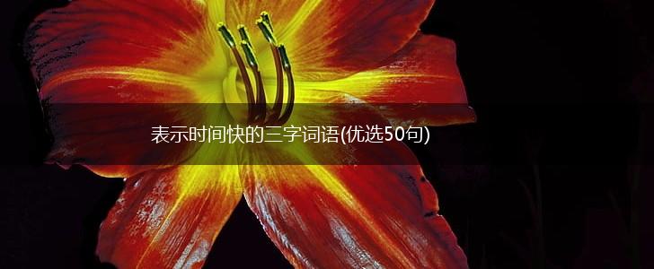 表示时间快的三字词语(优选50句),第1张