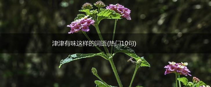 津津有味这样的词语(热门10句),第1张