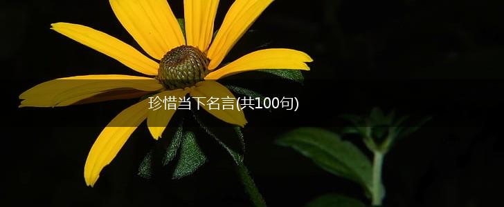 珍惜当下名言(共100句),第1张