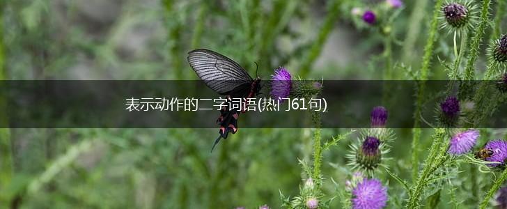 表示动作的二字词语(热门61句),第1张