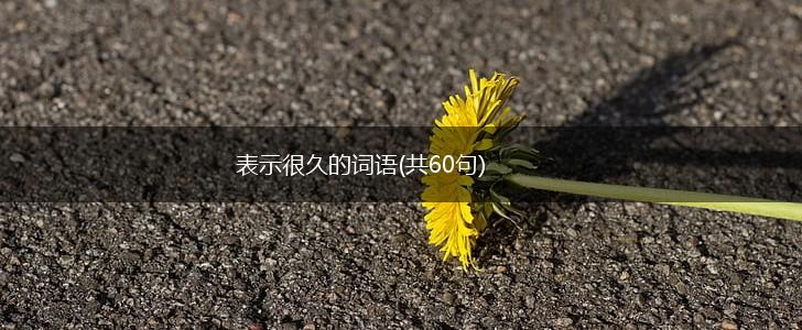 表示很久的词语(共60句),第1张