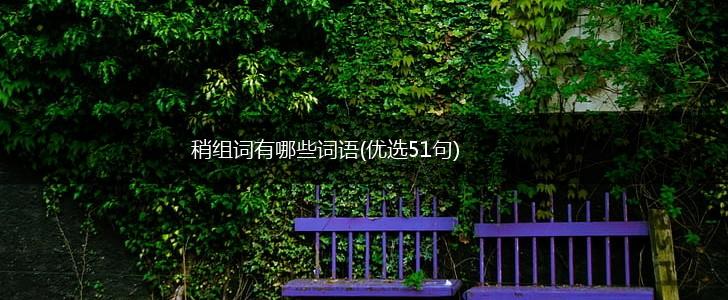 稍组词有哪些词语(优选51句),第1张