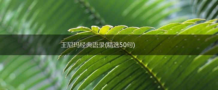 王尼玛经典语录(精选50句),第1张