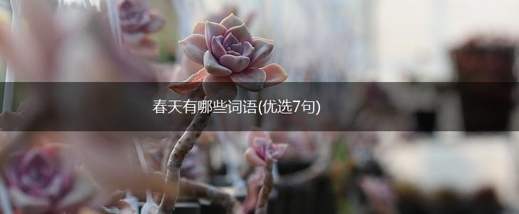 春天有哪些词语(优选7句),第1张