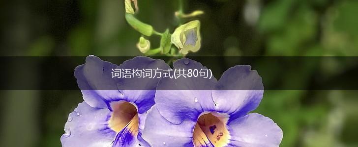 词语构词方式(共80句),第1张