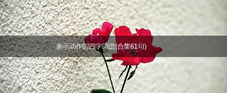 表示动作的四字词语(合集61句),第1张
