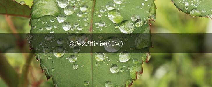 杀怎么组词语(40句),第1张