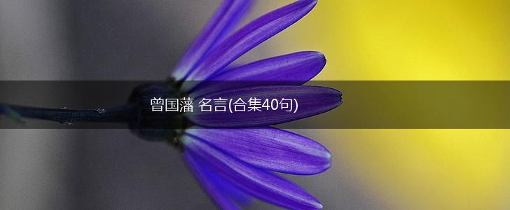 曾国藩 名言(合集40句),第1张 曾国藩 名言(合集40句),第1张