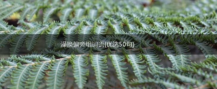 澡换偏旁组词语(优选50句),第1张