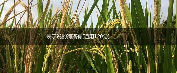 表示说的词语有(通用120句),第1张