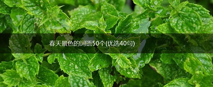 春天景色的词语50个(优选40句),第1张