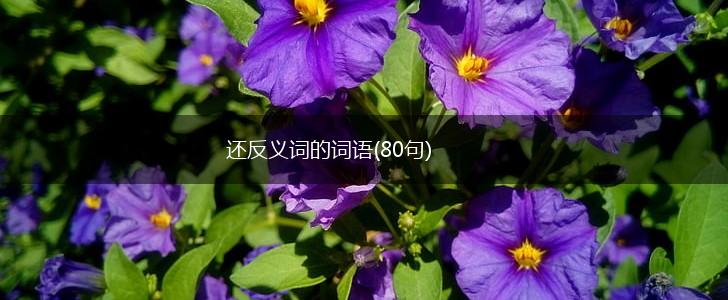 还反义词的词语(80句),第1张
