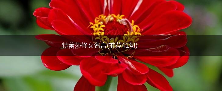 特蕾莎修女名言(推荐41句),第1张