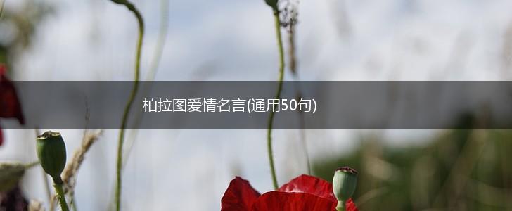 柏拉图爱情名言(通用50句),第1张