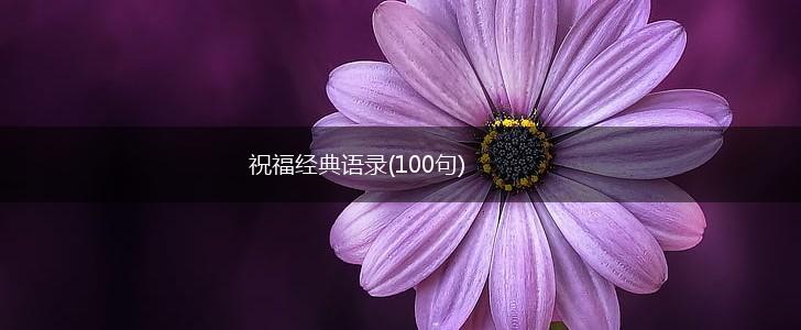 祝福经典语录(100句),第1张