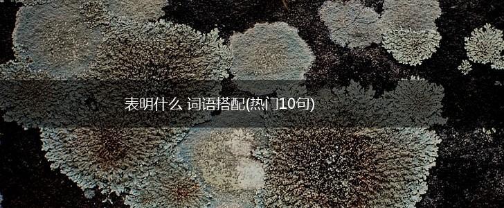 表明什么 词语搭配(热门10句),第1张