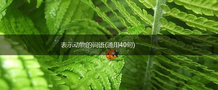 表示动物的词语(通用40句),第1张
