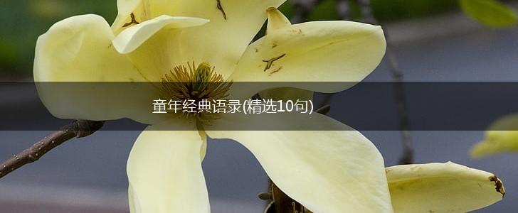 童年经典语录(精选10句),第1张