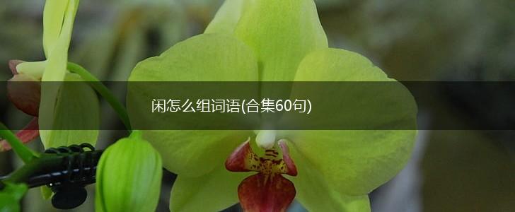 闲怎么组词语(合集60句),第1张