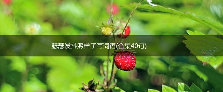 瑟瑟发抖照样子写词语(合集40句),第1张