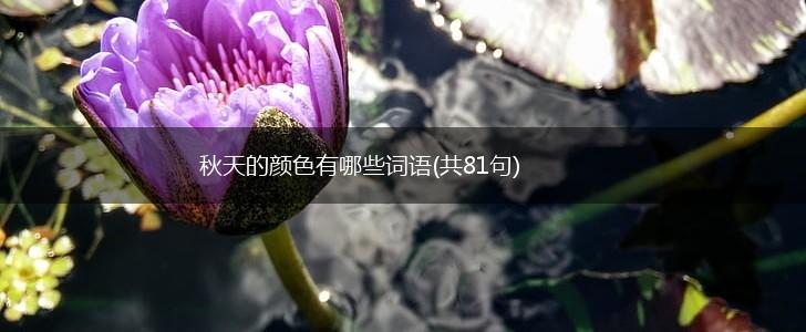 秋天的颜色有哪些词语(共81句),第1张 秋天的颜色有哪些词语(共81句),第1张