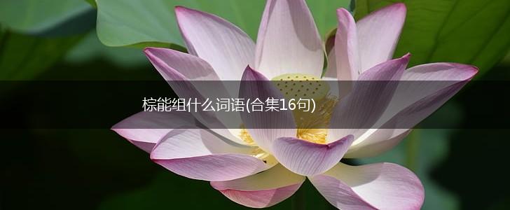 棕能组什么词语(合集16句),第1张
