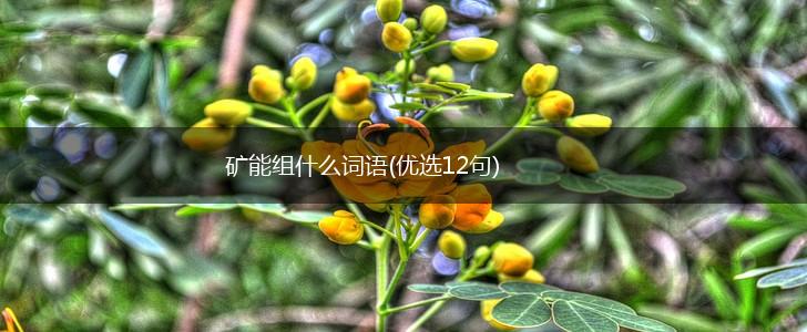 矿能组什么词语(优选12句),第1张