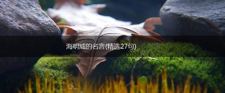 海明威的名言(精选27句),第1张 海明威的名言(精选27句),第1张