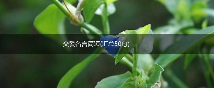 父爱名言简短(汇总50句),第1张