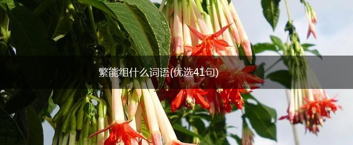 繁能组什么词语(优选41句),第1张