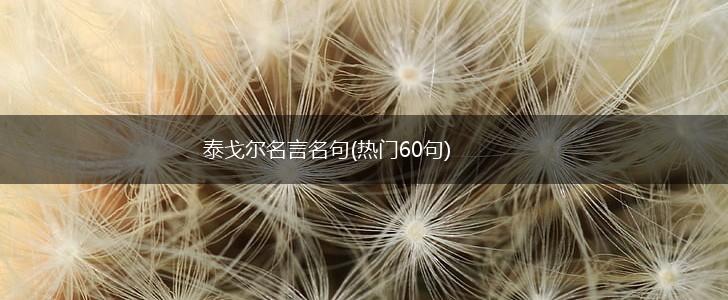 泰戈尔名言名句(热门60句),第1张