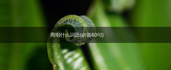 离组什么词语(必备60句),第1张 离组什么词语(必备60句),第1张