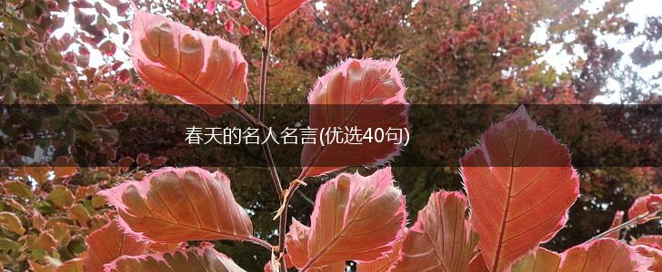 春天的名人名言(优选40句),第1张