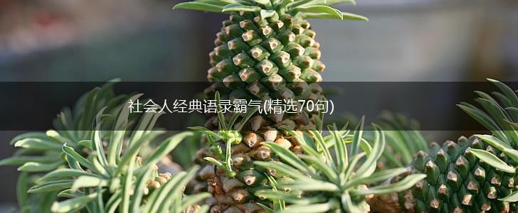 社会人经典语录霸气(精选70句),第1张
