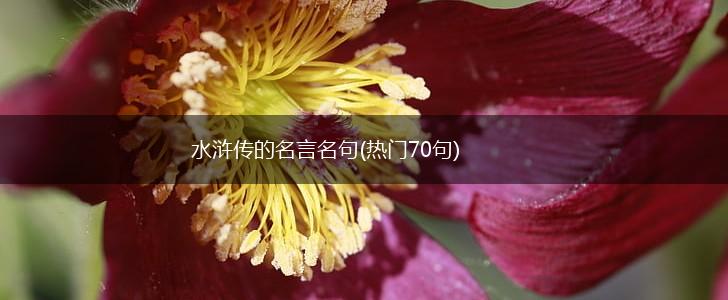 水浒传的名言名句(热门70句),第1张 水浒传的名言名句(热门70句),第1张