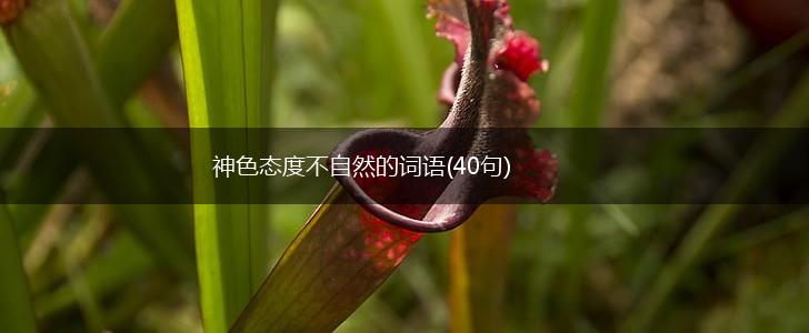 神色态度不自然的词语(40句),第1张