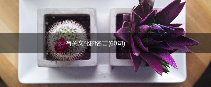 有关文化的名言(60句),第1张 有关文化的名言(60句),第1张