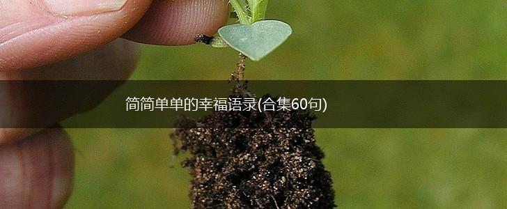 简简单单的幸福语录(合集60句),第1张