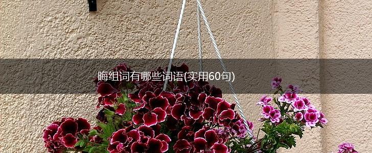 晦组词有哪些词语(实用60句),第1张