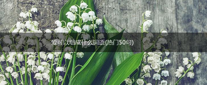 爱可以组成什么词语(热门50句),第1张