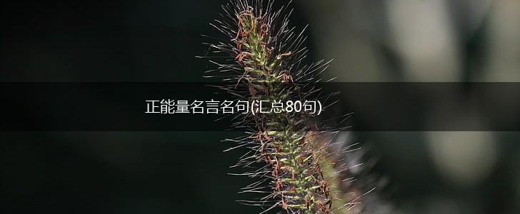 正能量名言名句(汇总80句),第1张