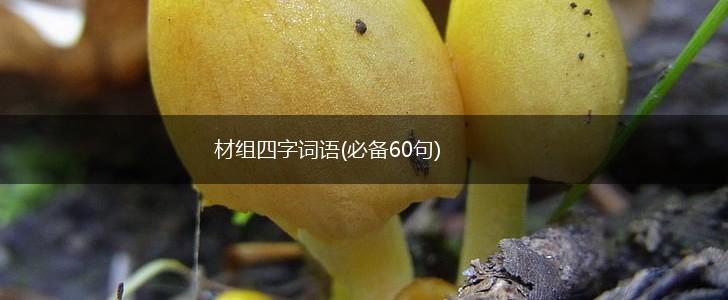 材组四字词语(必备60句),第1张