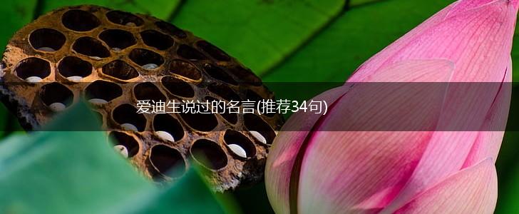 爱迪生说过的名言(推荐34句),第1张