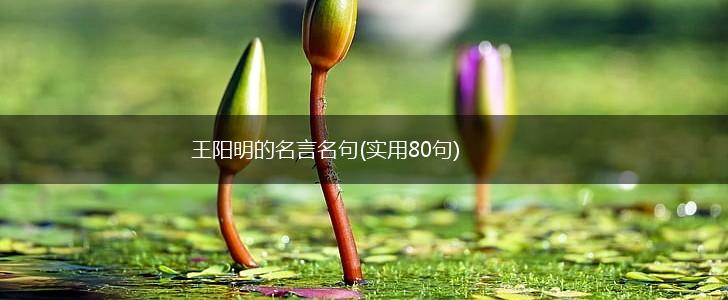 王阳明的名言名句(实用80句),第1张