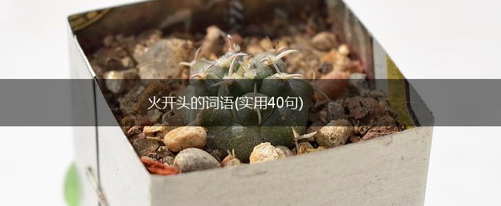 火开头的词语(实用40句),第1张